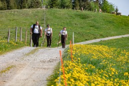 Alp, Alpaufzug, Alpen, Alpfahrt, Alps, Appenzell, Appenzell Ausserrohden, Appenzellerland, Brauchtum und Anlässe, Frühling, Jahreszeiten, Kühe, Landschaft und Natur, Mai, Natur, Orte, Ostschweiz, Schweiz, Sennen, Spring, Suisse, Switzerland, Tier, Tracht, spring, tradition
