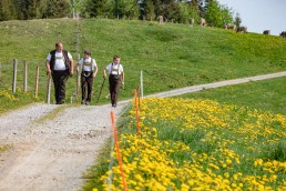 Alp, Alpaufzug, Alpen, Alpfahrt, Alps, Appenzell, Appenzell Ausserrohden, Appenzellerland, Brauchtum und Anlässe, Frühling, Jahreszeiten, Kühe, Landschaft und Natur, Mai, Natur, Orte, Ostschweiz, Schweiz, Sennen, Spring, Suisse, Switzerland, Tier, Tracht, spring, tradition