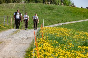 Alp, Alpaufzug, Alpen, Alpfahrt, Alps, Appenzell, Appenzell Ausserrohden, Appenzellerland, Brauchtum und Anlässe, Frühling, Jahreszeiten, Kühe, Landschaft und Natur, Mai, Natur, Orte, Ostschweiz, Schweiz, Sennen, Spring, Suisse, Switzerland, Tier, Tracht, spring, tradition