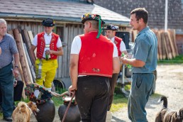 Alp, Alpaufzug, Alpen, Alpfahrt, Alps, Appenzell, Appenzell Ausserrohden, Appenzellerland, Brauchtum und Anlässe, Frühling, Jahreszeiten, Kühe, Landschaft und Natur, Mai, Natur, Orte, Ostschweiz, Schweiz, Sennen, Spring, Suisse, Switzerland, Tier, Tracht, spring, tradition