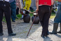 Alp, Alpaufzug, Alpen, Alpfahrt, Alps, Appenzell, Appenzell Ausserrohden, Appenzellerland, Brauchtum und Anlässe, Frühling, Jahreszeiten, Kühe, Landschaft und Natur, Mai, Natur, Orte, Ostschweiz, Schweiz, Sennen, Spring, Suisse, Switzerland, Tier, Tracht, spring, tradition