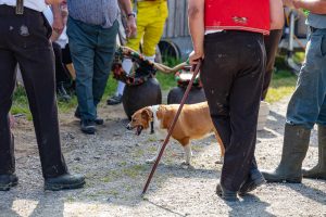 Alp, Alpaufzug, Alpen, Alpfahrt, Alps, Appenzell, Appenzell Ausserrohden, Appenzellerland, Brauchtum und Anlässe, Frühling, Jahreszeiten, Kühe, Landschaft und Natur, Mai, Natur, Orte, Ostschweiz, Schweiz, Sennen, Spring, Suisse, Switzerland, Tier, Tracht, spring, tradition