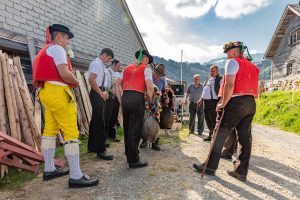 Alp, Alpaufzug, Alpen, Alpfahrt, Alps, Appenzell, Appenzell Ausserrohden, Appenzellerland, Brauchtum und Anlässe, Frühling, Jahreszeiten, Kühe, Landschaft und Natur, Mai, Natur, Orte, Ostschweiz, Schweiz, Sennen, Spring, Suisse, Switzerland, Tier, Tracht, spring, tradition