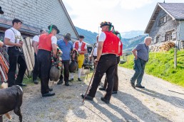 Alp, Alpaufzug, Alpen, Alpfahrt, Alps, Appenzell, Appenzell Ausserrohden, Appenzellerland, Brauchtum und Anlässe, Frühling, Jahreszeiten, Kühe, Landschaft und Natur, Mai, Natur, Orte, Ostschweiz, Schweiz, Sennen, Spring, Suisse, Switzerland, Tier, Tracht, spring, tradition