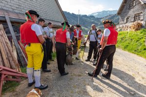 Alp, Alpaufzug, Alpen, Alpfahrt, Alps, Appenzell, Appenzell Ausserrohden, Appenzellerland, Brauchtum und Anlässe, Frühling, Jahreszeiten, Kühe, Landschaft und Natur, Mai, Natur, Orte, Ostschweiz, Schweiz, Sennen, Spring, Suisse, Switzerland, Tier, Tracht, spring, tradition