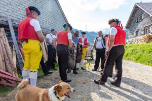 Alp, Alpaufzug, Alpen, Alpfahrt, Alps, Appenzell, Appenzell Ausserrohden, Appenzellerland, Brauchtum und Anlässe, Frühling, Jahreszeiten, Kühe, Landschaft und Natur, Mai, Natur, Orte, Ostschweiz, Schweiz, Sennen, Spring, Suisse, Switzerland, Tier, Tracht, spring, tradition