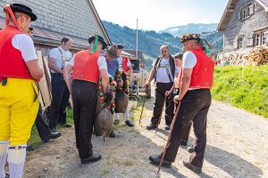 Alp, Alpaufzug, Alpen, Alpfahrt, Alps, Appenzell, Appenzell Ausserrohden, Appenzellerland, Brauchtum und Anlässe, Frühling, Jahreszeiten, Kühe, Landschaft und Natur, Mai, Natur, Orte, Ostschweiz, Schweiz, Sennen, Spring, Suisse, Switzerland, Tier, Tracht, spring, tradition