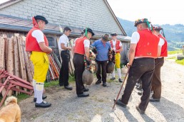 Alp, Alpaufzug, Alpen, Alpfahrt, Alps, Appenzell, Appenzell Ausserrohden, Appenzellerland, Brauchtum und Anlässe, Frühling, Jahreszeiten, Kühe, Landschaft und Natur, Mai, Natur, Orte, Ostschweiz, Schweiz, Sennen, Spring, Suisse, Switzerland, Tier, Tracht, spring, tradition