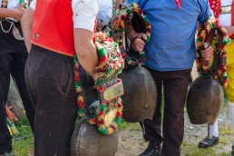 Alp, Alpaufzug, Alpen, Alpfahrt, Alps, Appenzell, Appenzell Ausserrohden, Appenzellerland, Brauchtum und Anlässe, Frühling, Jahreszeiten, Kühe, Landschaft und Natur, Mai, Natur, Orte, Ostschweiz, Schweiz, Sennen, Spring, Suisse, Switzerland, Tier, Tracht, spring, tradition