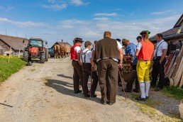 Alp, Alpaufzug, Alpen, Alpfahrt, Alps, Appenzell, Appenzell Ausserrohden, Appenzellerland, Brauchtum und Anlässe, Frühling, Jahreszeiten, Kühe, Landschaft und Natur, Mai, Natur, Orte, Ostschweiz, Schweiz, Sennen, Spring, Suisse, Switzerland, Tier, Tracht, spring, tradition
