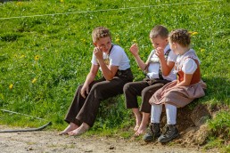 Alp, Alpaufzug, Alpen, Alpfahrt, Alps, Appenzell, Appenzell Ausserrohden, Appenzellerland, Brauchtum und Anlässe, Frühling, Jahreszeiten, Kühe, Landschaft und Natur, Mai, Natur, Orte, Ostschweiz, Schweiz, Sennen, Spring, Suisse, Switzerland, Tier, Tracht, spring, tradition