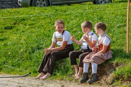 Alp, Alpaufzug, Alpen, Alpfahrt, Alps, Appenzell, Appenzell Ausserrohden, Appenzellerland, Brauchtum und Anlässe, Frühling, Jahreszeiten, Kühe, Landschaft und Natur, Mai, Natur, Orte, Ostschweiz, Schweiz, Sennen, Spring, Suisse, Switzerland, Tier, Tracht, spring, tradition