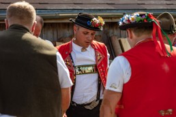 Alp, Alpaufzug, Alpen, Alpfahrt, Alps, Appenzell, Appenzell Ausserrohden, Appenzellerland, Brauchtum und Anlässe, Frühling, Jahreszeiten, Kühe, Landschaft und Natur, Mai, Natur, Orte, Ostschweiz, Schweiz, Sennen, Spring, Suisse, Switzerland, Tier, Tracht, spring, tradition