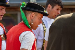 Alp, Alpaufzug, Alpen, Alpfahrt, Alps, Appenzell, Appenzell Ausserrohden, Appenzellerland, Brauchtum und Anlässe, Frühling, Jahreszeiten, Kühe, Landschaft und Natur, Mai, Natur, Orte, Ostschweiz, Schweiz, Sennen, Spring, Suisse, Switzerland, Tier, Tracht, spring, tradition