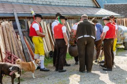 Alp, Alpaufzug, Alpen, Alpfahrt, Alps, Appenzell, Appenzell Ausserrohden, Appenzellerland, Brauchtum und Anlässe, Frühling, Jahreszeiten, Kühe, Landschaft und Natur, Mai, Natur, Orte, Ostschweiz, Schweiz, Sennen, Spring, Suisse, Switzerland, Tier, Tracht, spring, tradition