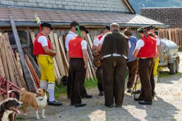 Alp, Alpaufzug, Alpen, Alpfahrt, Alps, Appenzell, Appenzell Ausserrohden, Appenzellerland, Brauchtum und Anlässe, Frühling, Jahreszeiten, Kühe, Landschaft und Natur, Mai, Natur, Orte, Ostschweiz, Schweiz, Sennen, Spring, Suisse, Switzerland, Tier, Tracht, spring, tradition