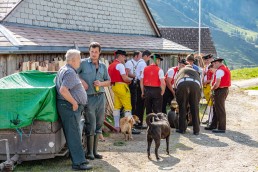 Alp, Alpaufzug, Alpen, Alpfahrt, Alps, Appenzell, Appenzell Ausserrohden, Appenzellerland, Brauchtum und Anlässe, Frühling, Jahreszeiten, Kühe, Landschaft und Natur, Mai, Natur, Orte, Ostschweiz, Schweiz, Sennen, Spring, Suisse, Switzerland, Tier, Tracht, spring, tradition