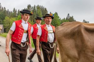 Alp, Alpen, Alpfahrt, Alps, Appenzell, Appenzell Ausserrohden, Appenzellerland, Brauchtum und Anlässe, Kühe, Landschaft und Natur, Orte, Ostschweiz, Schweiz, Sennen, Suisse, Switzerland, Tier, Tracht