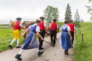 Alp, Alpen, Alpfahrt, Alps, Appenzell, Appenzell Ausserrohden, Appenzellerland, Brauchtum und Anlässe, Kühe, Landschaft und Natur, Orte, Ostschweiz, Schweiz, Sennen, Suisse, Switzerland, Tier, Tracht