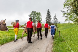 Alp, Alpen, Alpfahrt, Alps, Appenzell, Appenzell Ausserrohden, Appenzellerland, Brauchtum und Anlässe, Kühe, Landschaft und Natur, Orte, Ostschweiz, Schweiz, Sennen, Suisse, Switzerland, Tier, Tracht