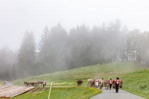 Alp, Alpen, Alpfahrt, Alps, Appenzell, Appenzell Ausserrohden, Appenzellerland, Brauchtum und Anlässe, Kühe, Landschaft und Natur, Orte, Ostschweiz, Schweiz, Sennen, Suisse, Switzerland, Tier, Tracht