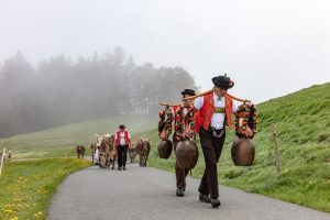 Alp, Alpen, Alpfahrt, Alps, Appenzell, Appenzell Ausserrohden, Appenzellerland, Brauchtum und Anlässe, Kühe, Landschaft und Natur, Orte, Ostschweiz, Schweiz, Sennen, Suisse, Switzerland, Tier, Tracht