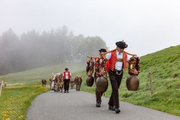 Alp, Alpen, Alpfahrt, Alps, Appenzell, Appenzell Ausserrohden, Appenzellerland, Brauchtum und Anlässe, Kühe, Landschaft und Natur, Orte, Ostschweiz, Schweiz, Sennen, Suisse, Switzerland, Tier, Tracht