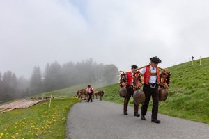 Alp, Alpen, Alpfahrt, Alps, Appenzell, Appenzell Ausserrohden, Appenzellerland, Brauchtum und Anlässe, Kühe, Landschaft und Natur, Orte, Ostschweiz, Schweiz, Sennen, Suisse, Switzerland, Tier, Tracht