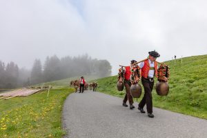 Alp, Alpen, Alpfahrt, Alps, Appenzell, Appenzell Ausserrohden, Appenzellerland, Brauchtum und Anlässe, Kühe, Landschaft und Natur, Orte, Ostschweiz, Schweiz, Sennen, Suisse, Switzerland, Tier, Tracht