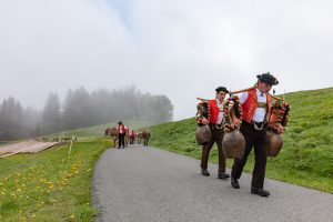 Alp, Alpen, Alpfahrt, Alps, Appenzell, Appenzell Ausserrohden, Appenzellerland, Brauchtum und Anlässe, Kühe, Landschaft und Natur, Orte, Ostschweiz, Schweiz, Sennen, Suisse, Switzerland, Tier, Tracht