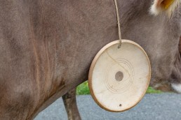Alp, Alpen, Alpfahrt, Alps, Appenzell, Appenzell Ausserrohden, Appenzellerland, Brauchtum und Anlässe, Kühe, Landschaft und Natur, Orte, Ostschweiz, Schweiz, Sennen, Suisse, Switzerland, Tier, Tracht