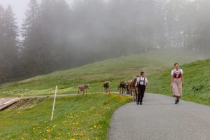 Alp, Alpen, Alpfahrt, Alps, Appenzell, Appenzell Ausserrohden, Appenzellerland, Brauchtum und Anlässe, Kühe, Landschaft und Natur, Orte, Ostschweiz, Schweiz, Sennen, Suisse, Switzerland, Tier, Tracht