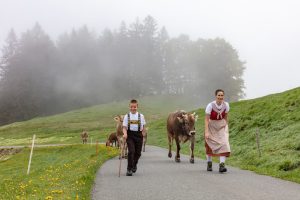 Alp, Alpen, Alpfahrt, Alps, Appenzell, Appenzell Ausserrohden, Appenzellerland, Brauchtum und Anlässe, Kühe, Landschaft und Natur, Orte, Ostschweiz, Schweiz, Sennen, Suisse, Switzerland, Tier, Tracht