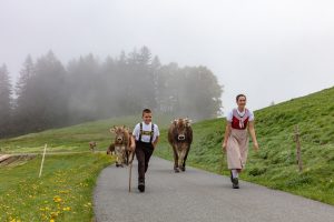 Alp, Alpen, Alpfahrt, Alps, Appenzell, Appenzell Ausserrohden, Appenzellerland, Brauchtum und Anlässe, Kühe, Landschaft und Natur, Orte, Ostschweiz, Schweiz, Sennen, Suisse, Switzerland, Tier, Tracht