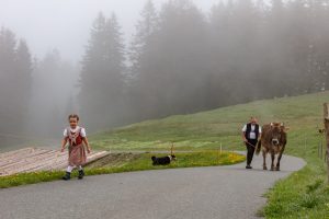 Alp, Alpen, Alpfahrt, Alps, Appenzell, Appenzell Ausserrohden, Appenzellerland, Brauchtum und Anlässe, Kühe, Landschaft und Natur, Orte, Ostschweiz, Schweiz, Sennen, Suisse, Switzerland, Tier, Tracht
