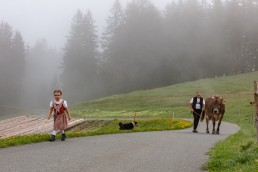 Alp, Alpen, Alpfahrt, Alps, Appenzell, Appenzell Ausserrohden, Appenzellerland, Brauchtum und Anlässe, Kühe, Landschaft und Natur, Orte, Ostschweiz, Schweiz, Sennen, Suisse, Switzerland, Tier, Tracht