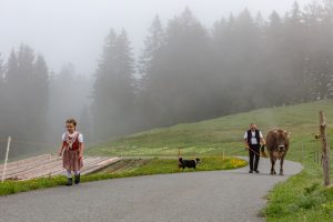 Alp, Alpen, Alpfahrt, Alps, Appenzell, Appenzell Ausserrohden, Appenzellerland, Brauchtum und Anlässe, Kühe, Landschaft und Natur, Orte, Ostschweiz, Schweiz, Sennen, Suisse, Switzerland, Tier, Tracht