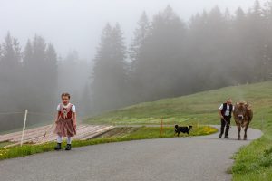 Alp, Alpen, Alpfahrt, Alps, Appenzell, Appenzell Ausserrohden, Appenzellerland, Brauchtum und Anlässe, Kühe, Landschaft und Natur, Orte, Ostschweiz, Schweiz, Sennen, Suisse, Switzerland, Tier, Tracht