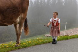 Alp, Alpen, Alpfahrt, Alps, Appenzell, Appenzell Ausserrohden, Appenzellerland, Brauchtum und Anlässe, Kühe, Landschaft und Natur, Orte, Ostschweiz, Schweiz, Sennen, Suisse, Switzerland, Tier, Tracht