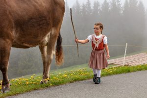 Alp, Alpen, Alpfahrt, Alps, Appenzell, Appenzell Ausserrohden, Appenzellerland, Brauchtum und Anlässe, Kühe, Landschaft und Natur, Orte, Ostschweiz, Schweiz, Sennen, Suisse, Switzerland, Tier, Tracht