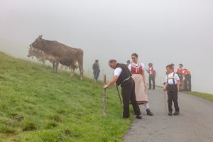 Alp, Alpen, Alpfahrt, Alps, Appenzell, Appenzell Ausserrohden, Appenzellerland, Brauchtum und Anlässe, Kühe, Landschaft und Natur, Orte, Ostschweiz, Schweiz, Sennen, Suisse, Switzerland, Tier, Tracht