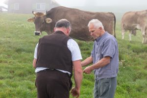 Alp, Alpen, Alpfahrt, Alps, Appenzell, Appenzell Ausserrohden, Appenzellerland, Brauchtum und Anlässe, Kühe, Landschaft und Natur, Orte, Ostschweiz, Schweiz, Sennen, Suisse, Switzerland, Tier, Tracht