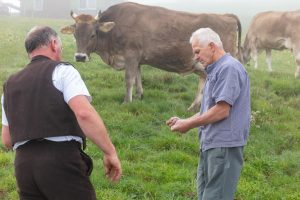 Alp, Alpen, Alpfahrt, Alps, Appenzell, Appenzell Ausserrohden, Appenzellerland, Brauchtum und Anlässe, Kühe, Landschaft und Natur, Orte, Ostschweiz, Schweiz, Sennen, Suisse, Switzerland, Tier, Tracht