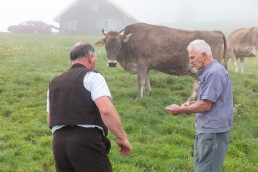 Alp, Alpen, Alpfahrt, Alps, Appenzell, Appenzell Ausserrohden, Appenzellerland, Brauchtum und Anlässe, Kühe, Landschaft und Natur, Orte, Ostschweiz, Schweiz, Sennen, Suisse, Switzerland, Tier, Tracht