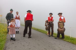 Alp, Alpen, Alpfahrt, Alps, Appenzell, Appenzell Ausserrohden, Appenzellerland, Brauchtum und Anlässe, Kühe, Landschaft und Natur, Orte, Ostschweiz, Schweiz, Sennen, Suisse, Switzerland, Tier, Tracht