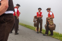 Alp, Alpen, Alpfahrt, Alps, Appenzell, Appenzell Ausserrohden, Appenzellerland, Brauchtum und Anlässe, Kühe, Landschaft und Natur, Orte, Ostschweiz, Schweiz, Sennen, Suisse, Switzerland, Tier, Tracht