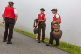 Alp, Alpen, Alpfahrt, Alps, Appenzell, Appenzell Ausserrohden, Appenzellerland, Brauchtum und Anlässe, Kühe, Landschaft und Natur, Orte, Ostschweiz, Schweiz, Sennen, Suisse, Switzerland, Tier, Tracht