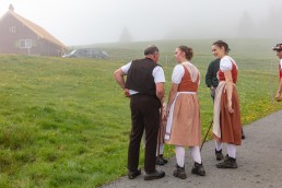 Alp, Alpen, Alpfahrt, Alps, Appenzell, Appenzell Ausserrohden, Appenzellerland, Brauchtum und Anlässe, Kühe, Landschaft und Natur, Orte, Ostschweiz, Schweiz, Sennen, Suisse, Switzerland, Tier, Tracht
