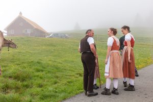 Alp, Alpen, Alpfahrt, Alps, Appenzell, Appenzell Ausserrohden, Appenzellerland, Brauchtum und Anlässe, Kühe, Landschaft und Natur, Orte, Ostschweiz, Schweiz, Sennen, Suisse, Switzerland, Tier, Tracht