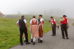 Alp, Alpen, Alpfahrt, Alps, Appenzell, Appenzell Ausserrohden, Appenzellerland, Brauchtum und Anlässe, Kühe, Landschaft und Natur, Orte, Ostschweiz, Schweiz, Sennen, Suisse, Switzerland, Tier, Tracht
